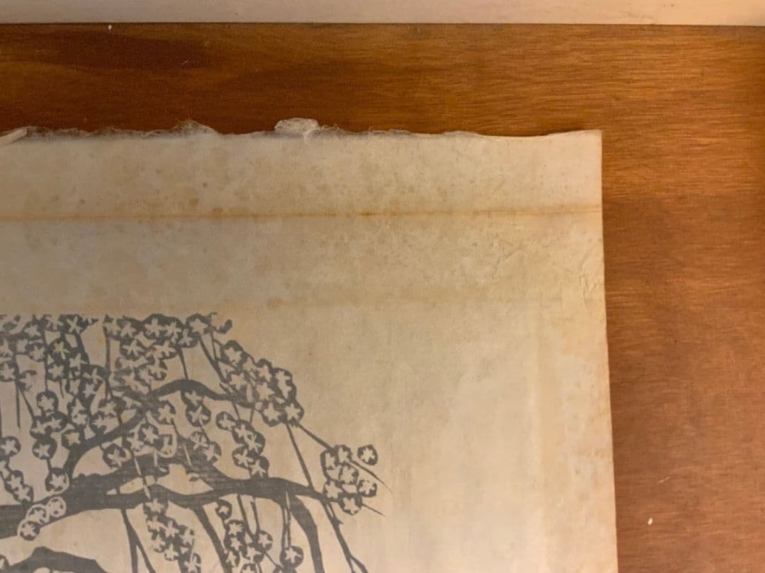 【 真作 大作 】枝垂れ桜　無弟（長谷川富三郎） マクリ