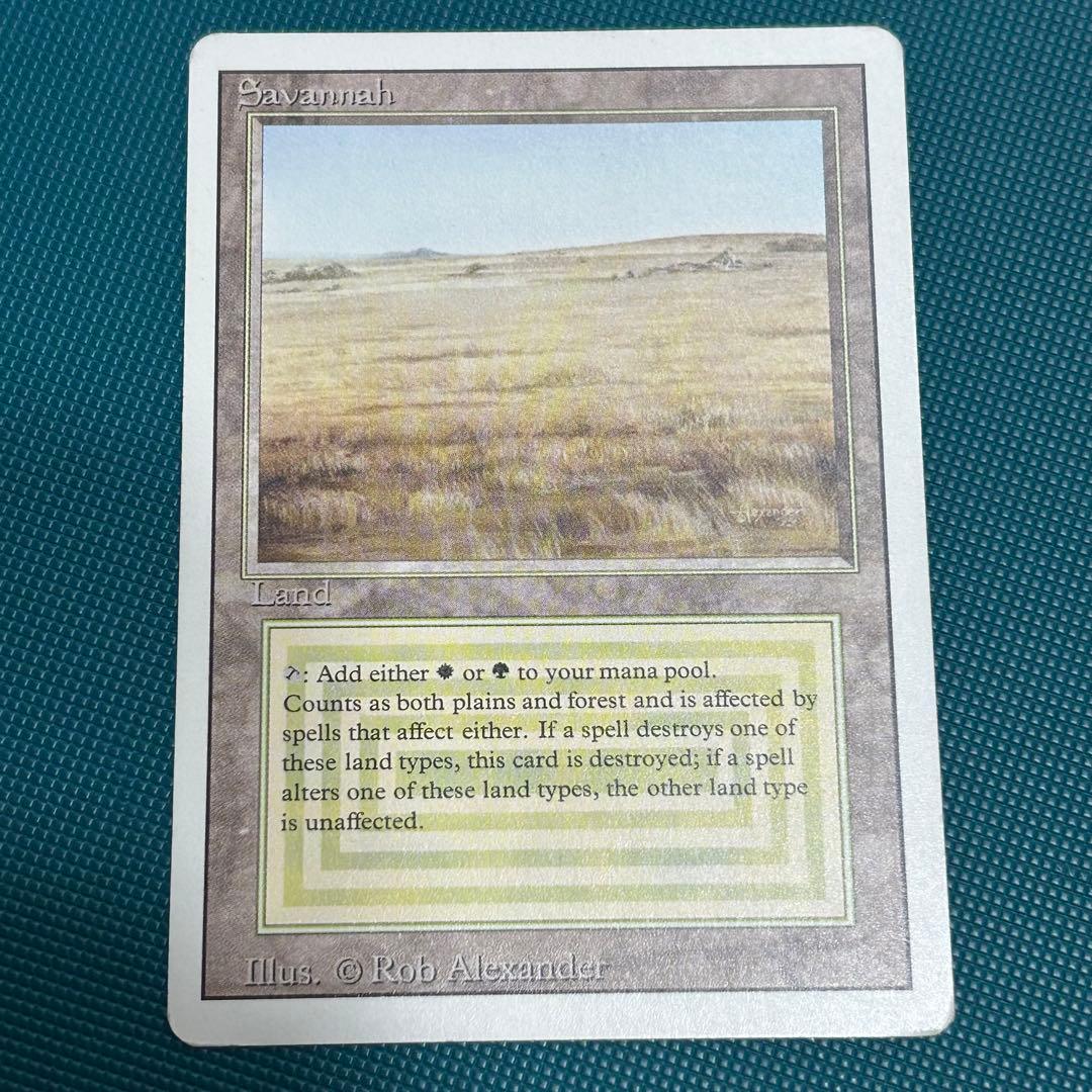英語《Savannah》[3ED] リバイズド