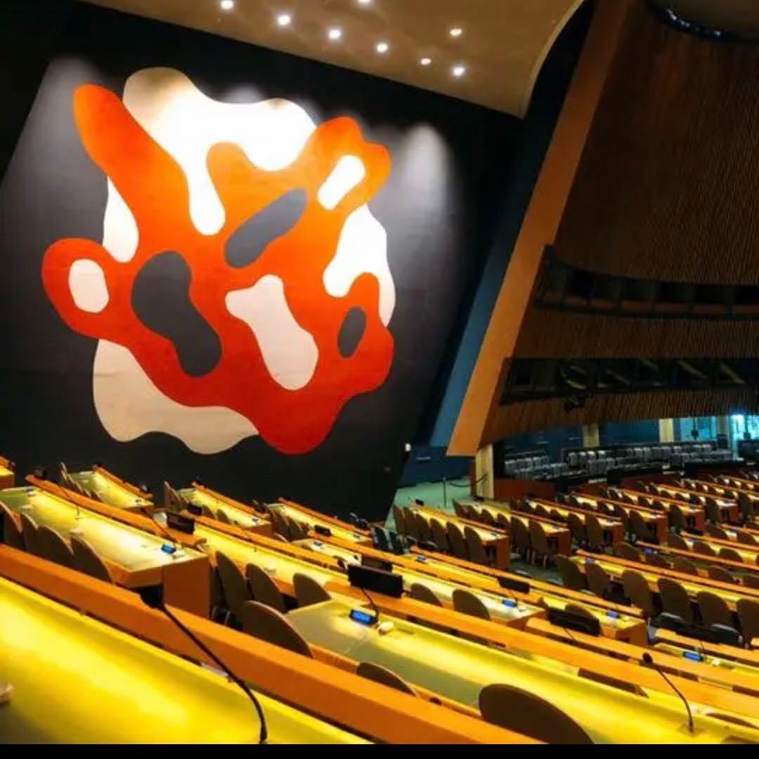 【特別提供品】SDGs  ピンバッジ　10点　新品未使用　【国連本部入手品】