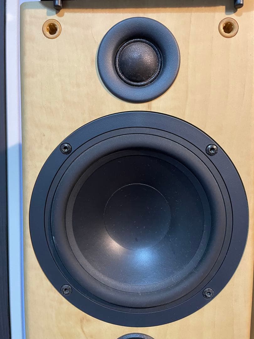 イギリス　TANNOY Fusion 1 ブックシェルフスピーカー シリアル連番