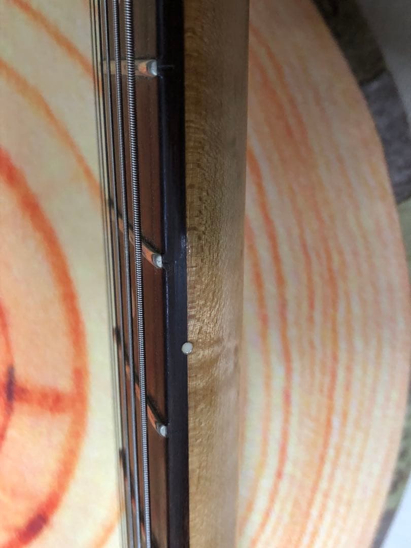 SCHECTER EX4 California Custom 1996年モデル