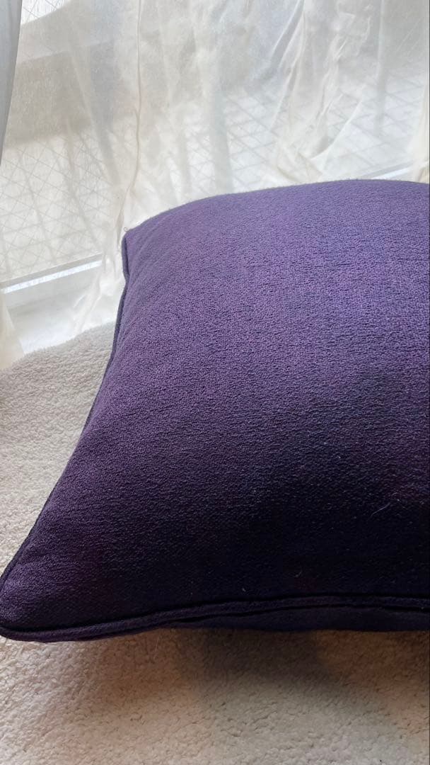 ⭐︎コモ　cassinaクッション2個セット