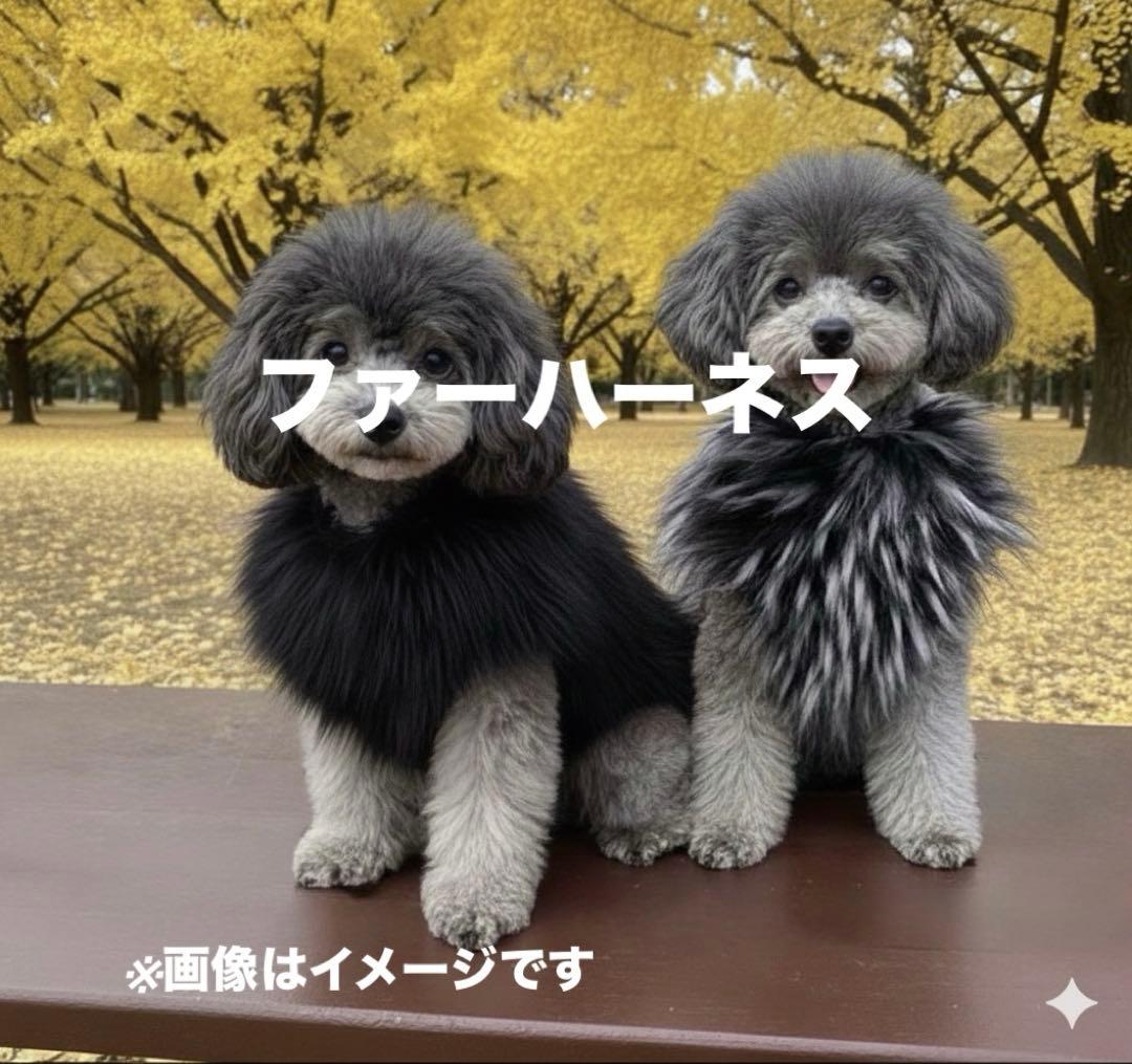 試着のみ！高級vesticane Sサイズ ハーネス