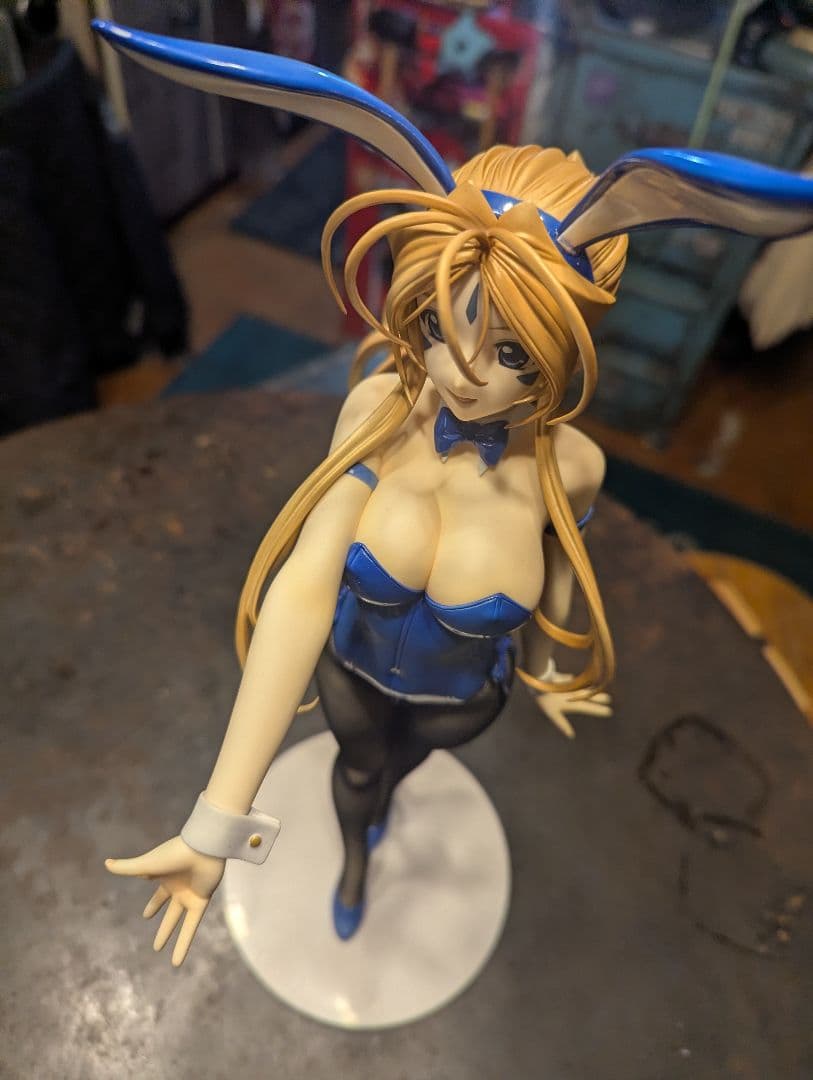 フリーイング ベルダンディー バニー