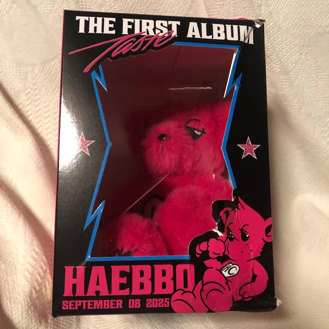 NCT ヘチャン ぬいぐるみ25CM DOLL SET TASTE　MD