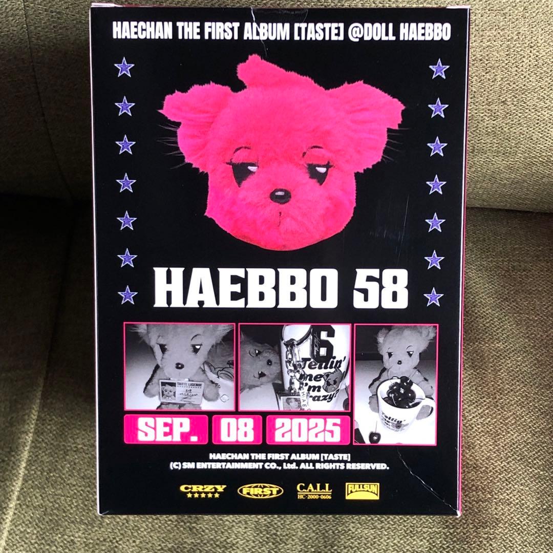 NCT ヘチャン ぬいぐるみ25CM DOLL SET TASTE　MD