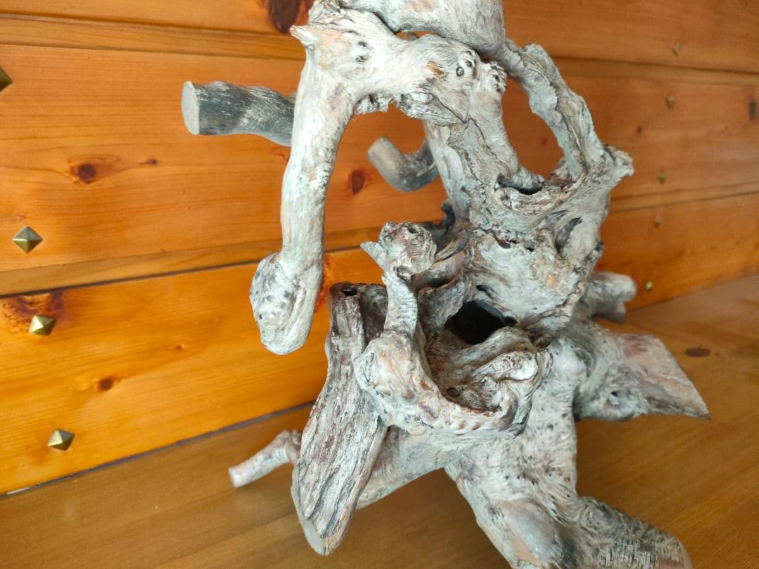 年末セール★大型流木