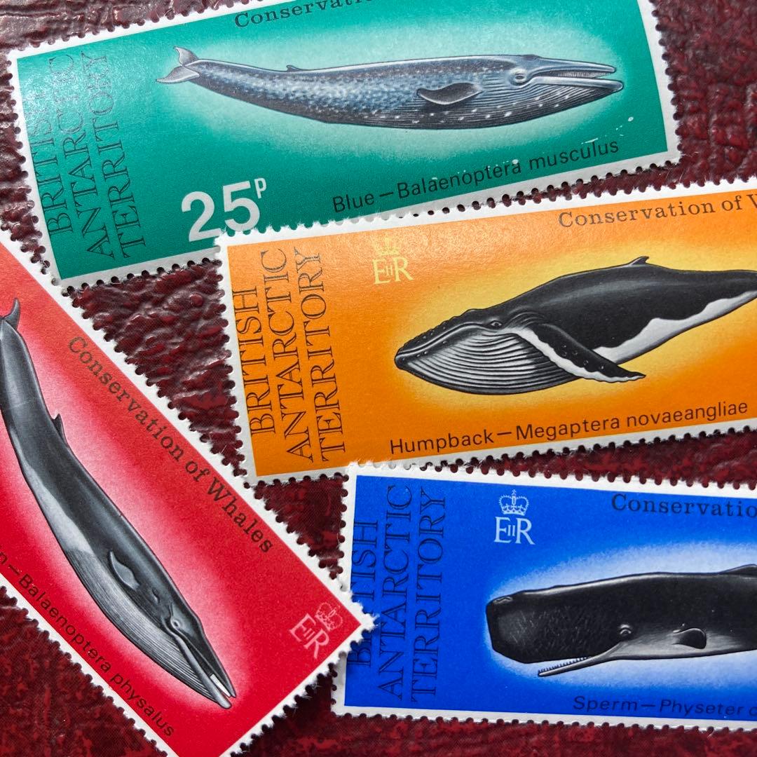 67157セール現品限　外国切手未使用　英領南極地域発行クジラ4種揃