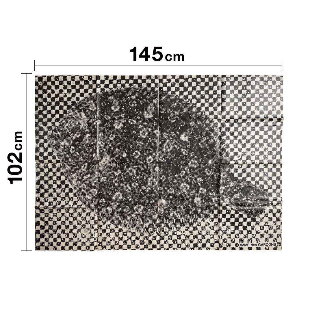 ⭐️激レア⭐️コムデギャルソン six. 1989年春夏 大判ポスターB