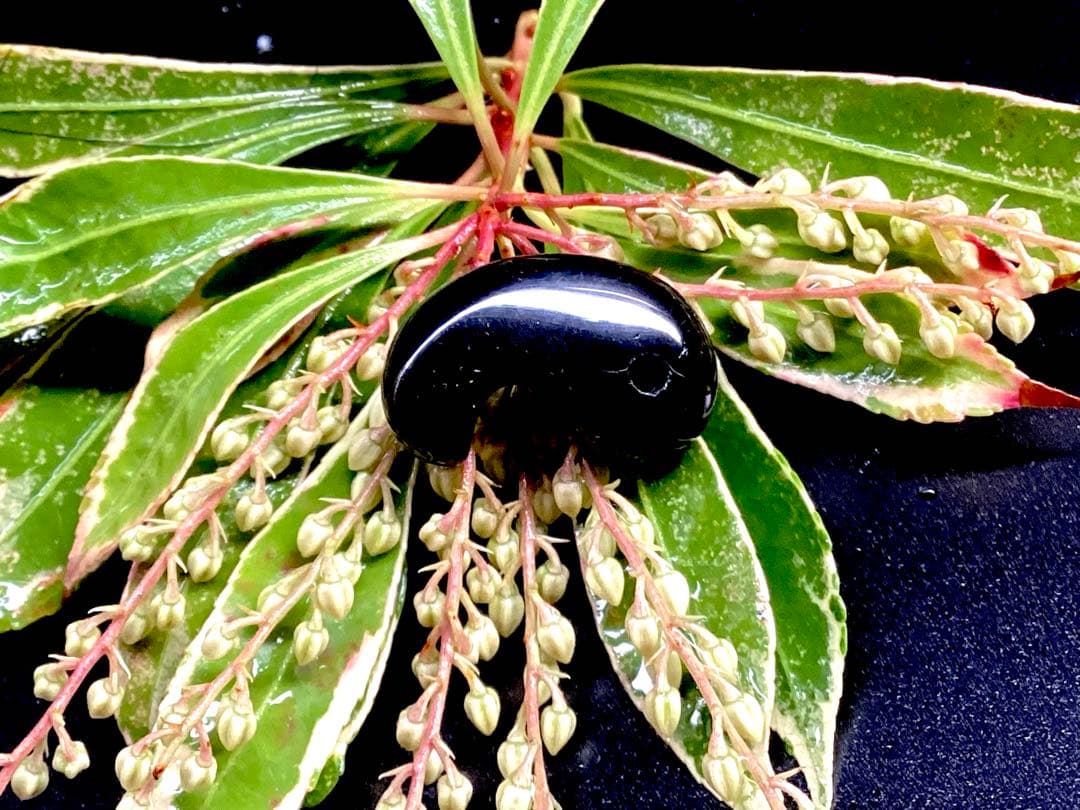 ✳黒平鉱山*モリオン水晶勾玉*希少高額になっています‼️ 本物保証品　業者様も‼️