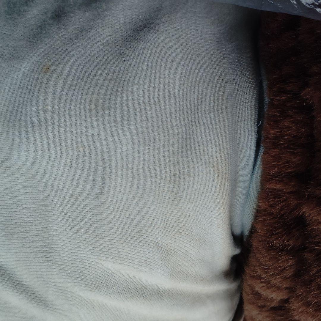 もんちっち ぬいぐるみ セキグチ 約50cm