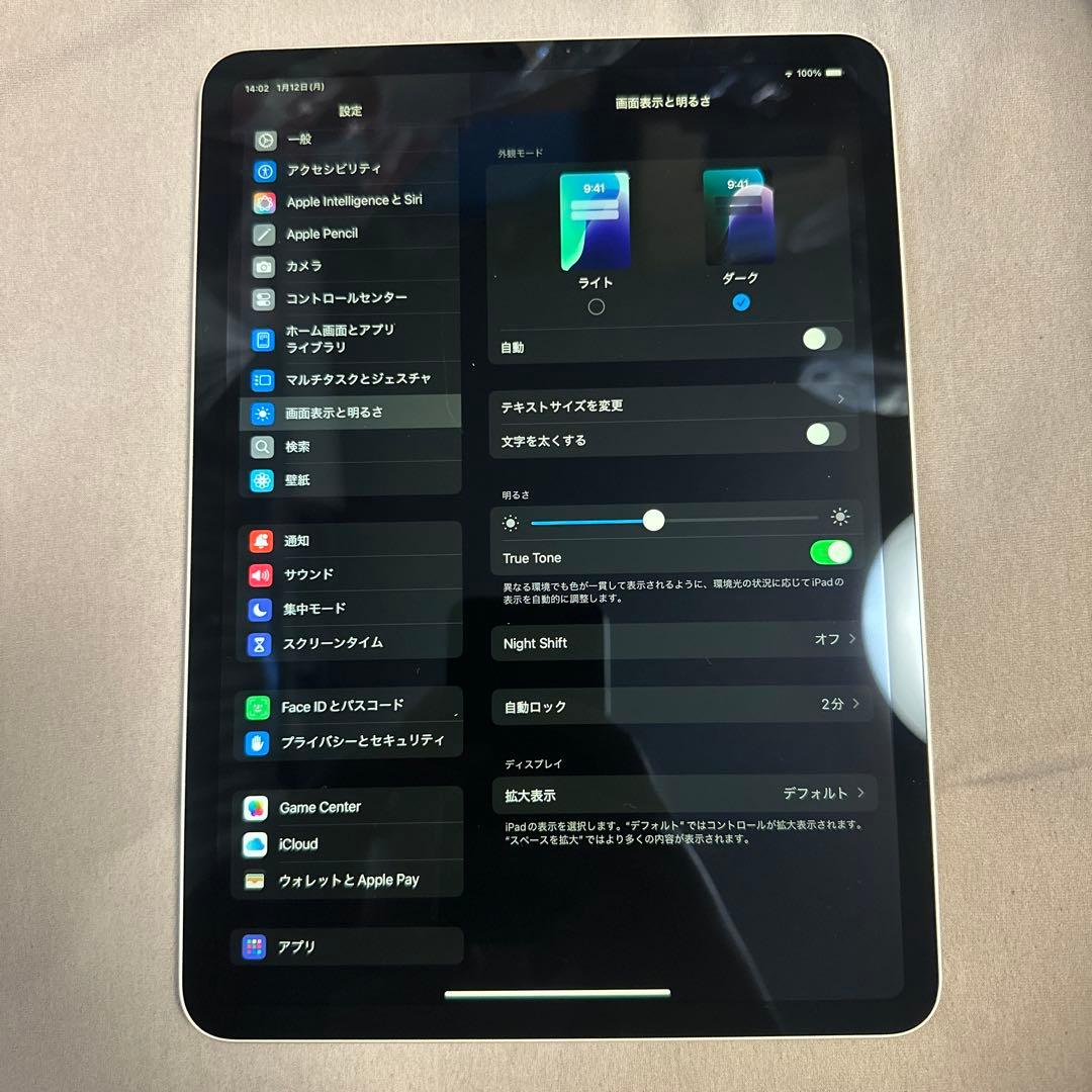 iPad Pro 11インチ 第3世代 128GB WiFi