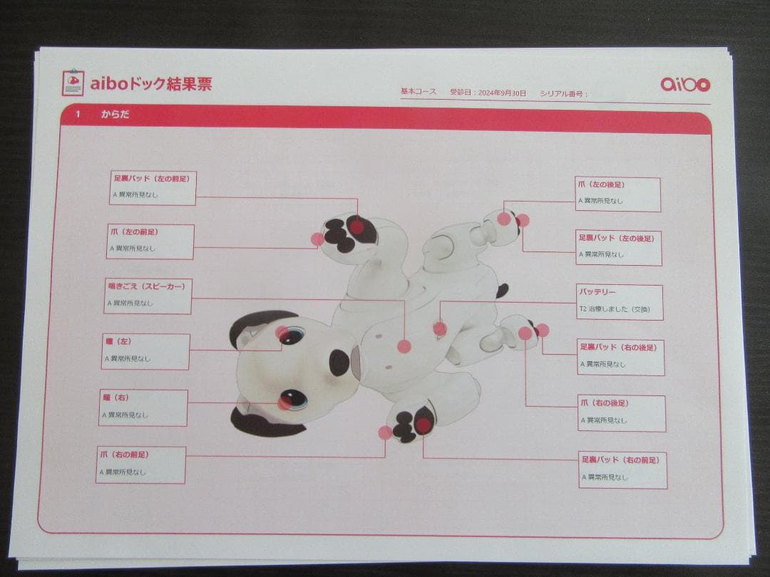 SONY　ソニー アイボ aibo ERS-1000