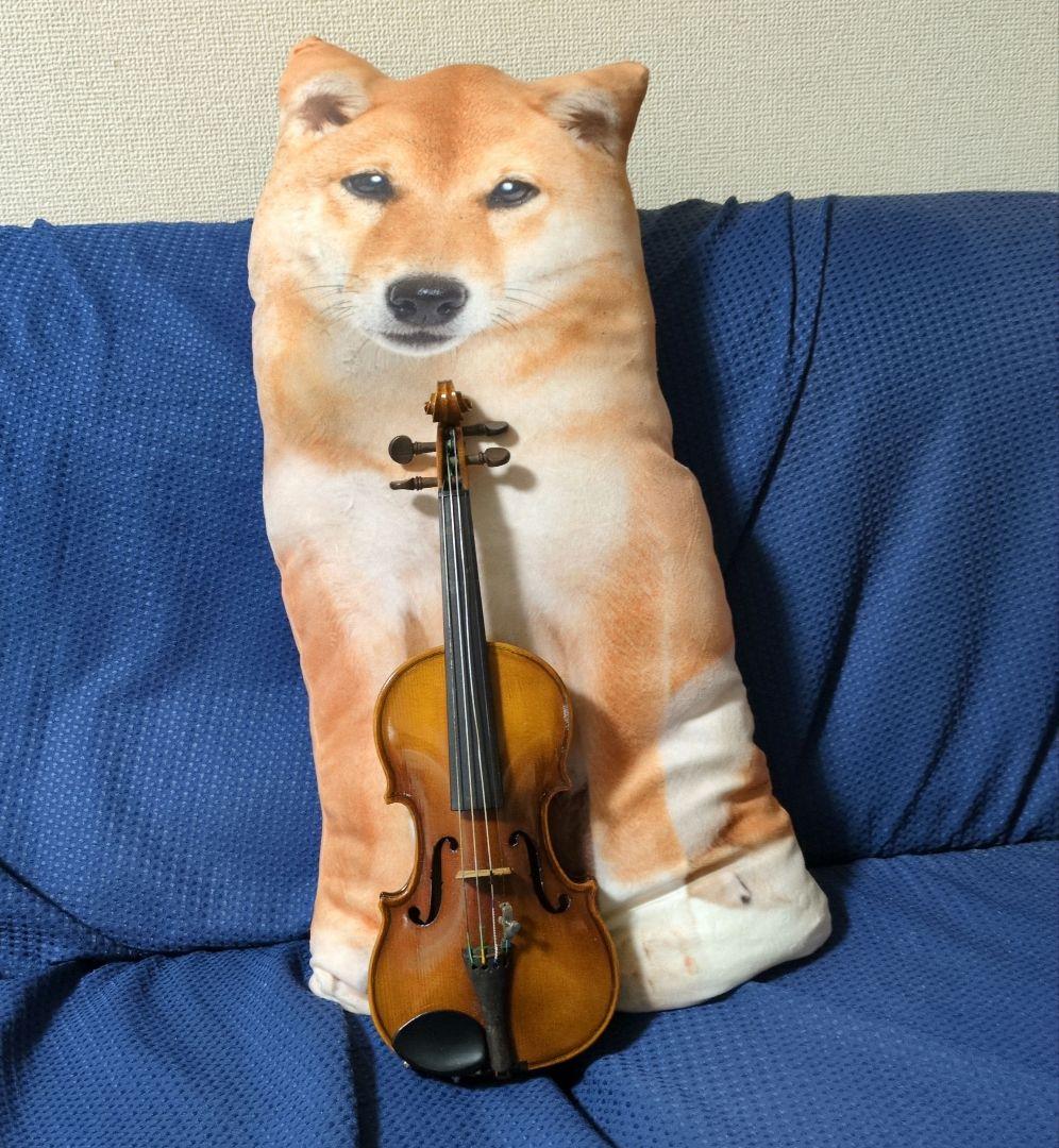 Suzuki 子供バイオリン　1/10