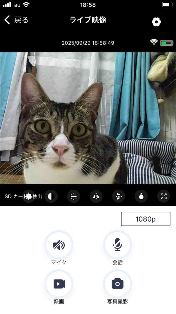 ミニッツ Mini-Z 4x4 ラングラー 電動ラジコンカー カメラ付き