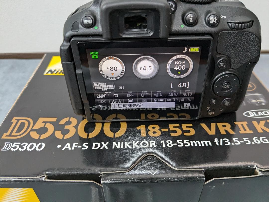 Nikon D5300 レンズキット 美品 ショット数6552 付属品完備