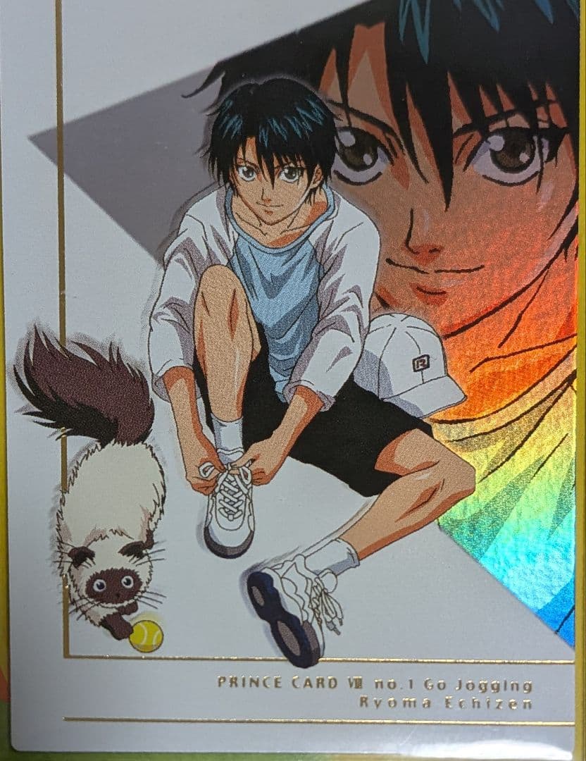 テニスの王子様☆越前リョーマ＆カルピン☆プリンスレアカード