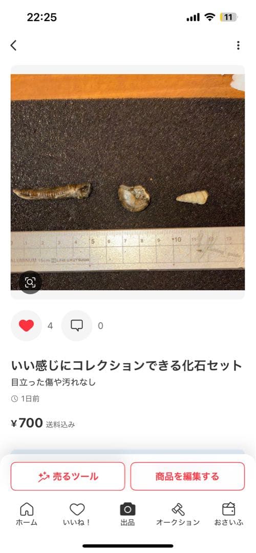 ひでさん　化石セット