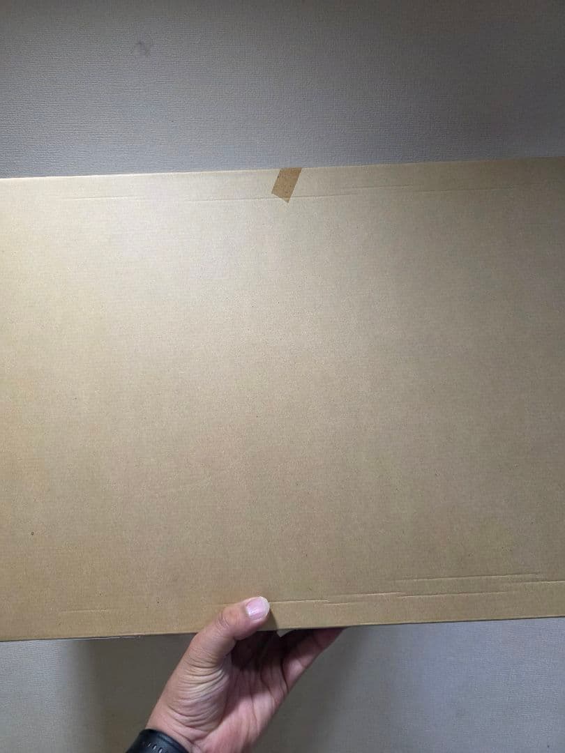 ◆未組立品◆MG EX-Sガンダム/Sガンダム