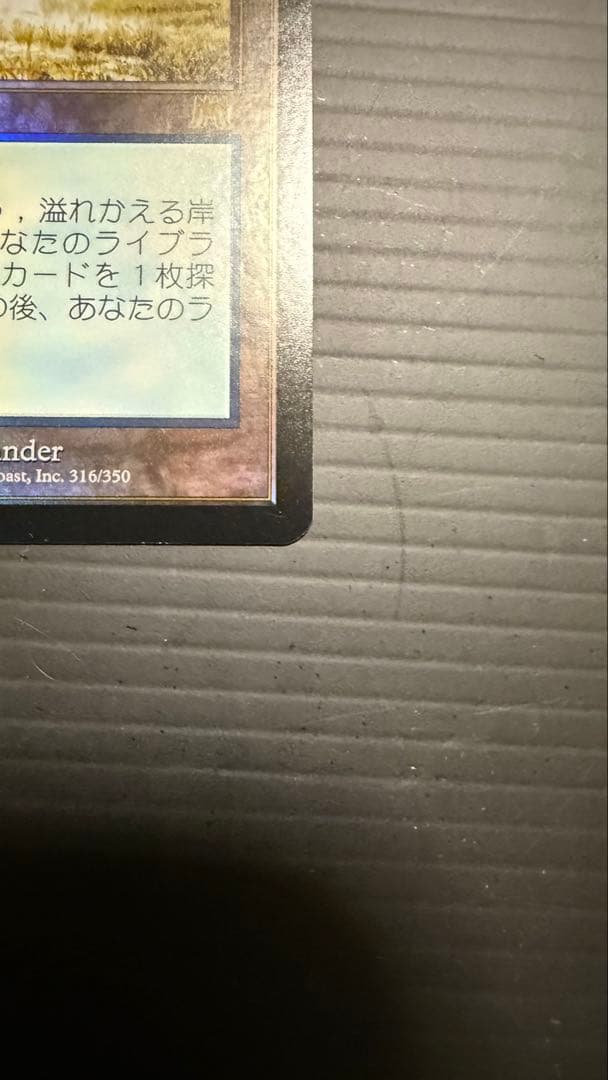 溢れかえる岸辺 日本語版