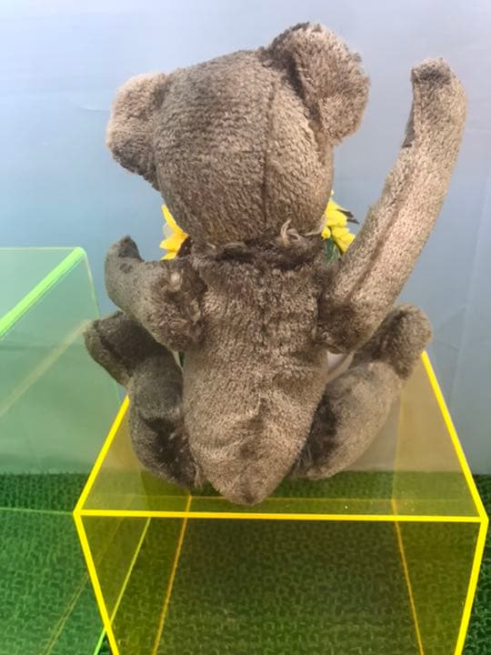 希少な年代物のアンティークテディベア　steiff社