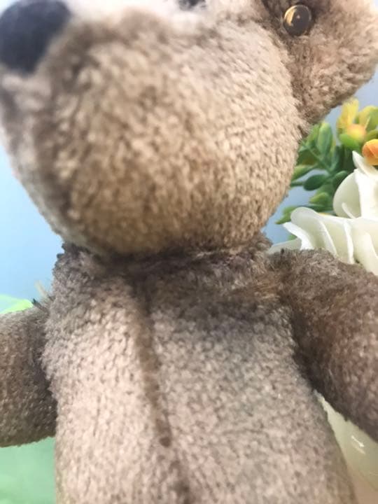 希少な年代物のアンティークテディベア　steiff社