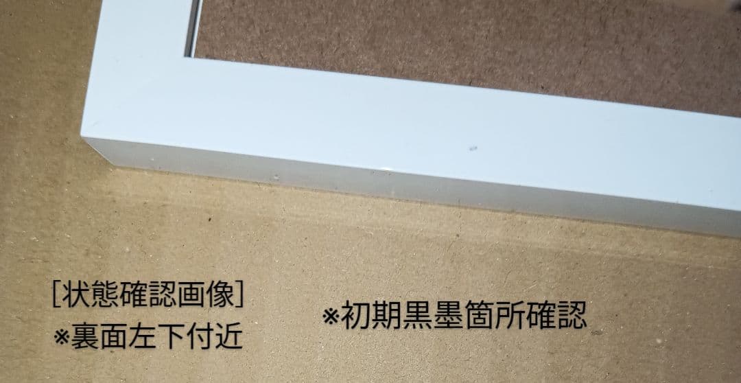 【王様ランキング×Amazon限定】『金のがちょう』A5キャラファイングラフ