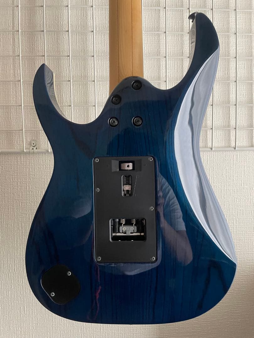 アイバニーズ　RG 2560ZEX-ABT