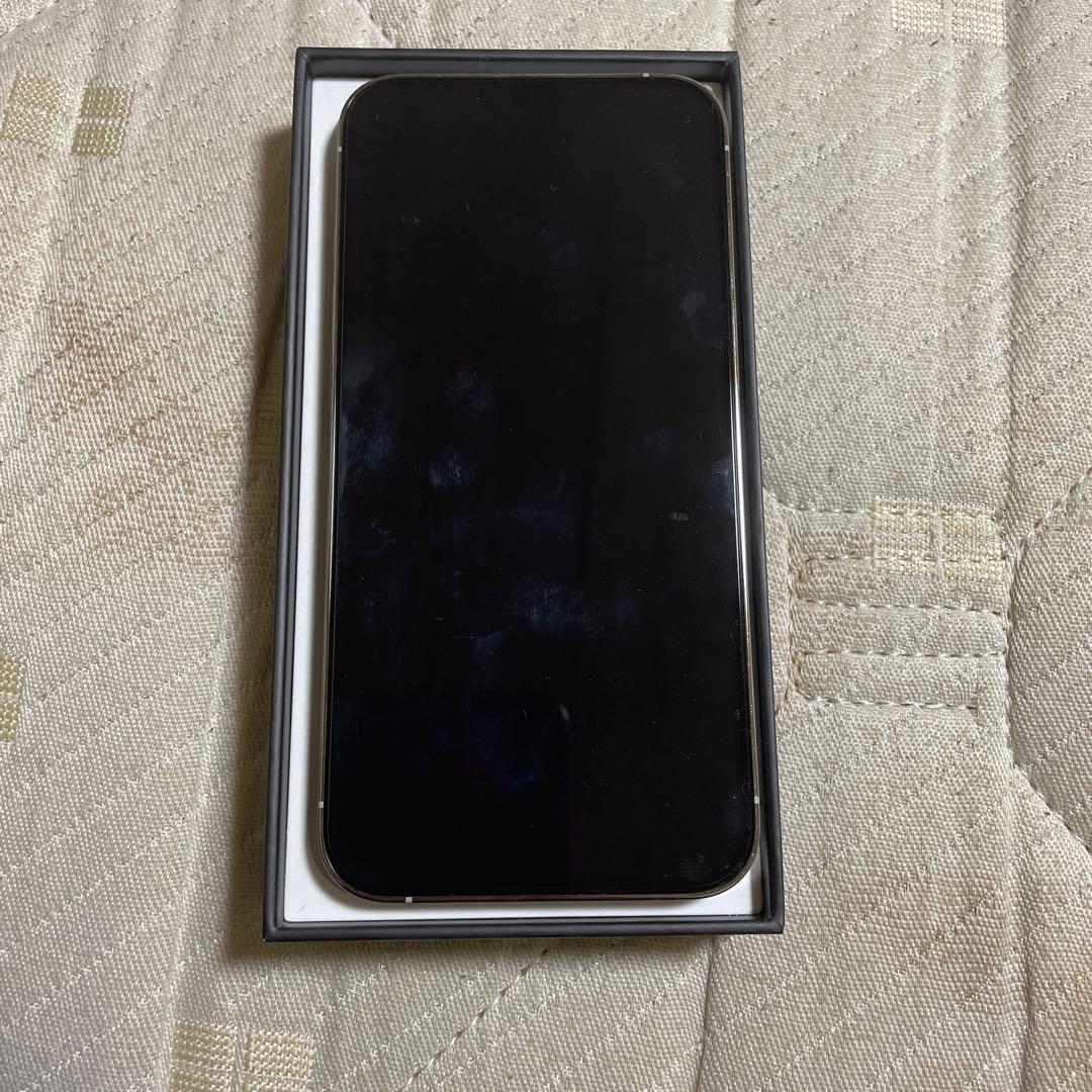 iPhone13pro 256GB SIMフリー　ライト不良