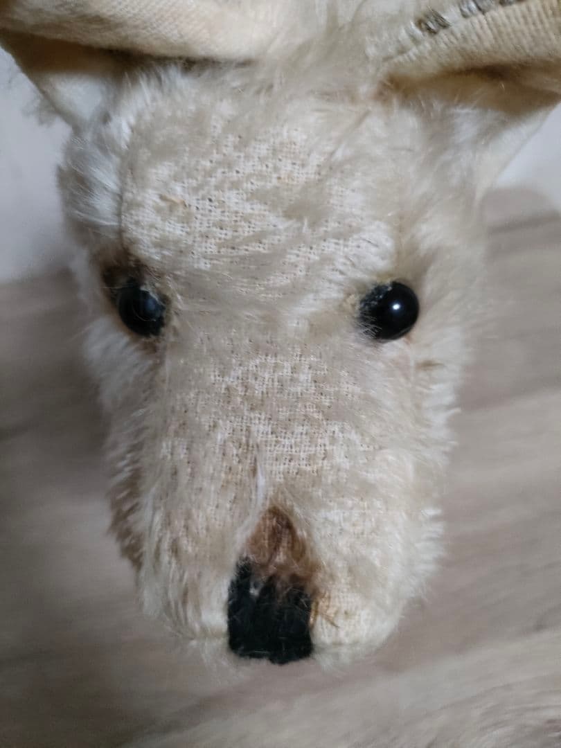 アンティーク犬　 ビンテージ 犬　 テリア