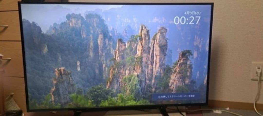 東芝 レグザ 液晶カラーテレビ 50S10 50インチ