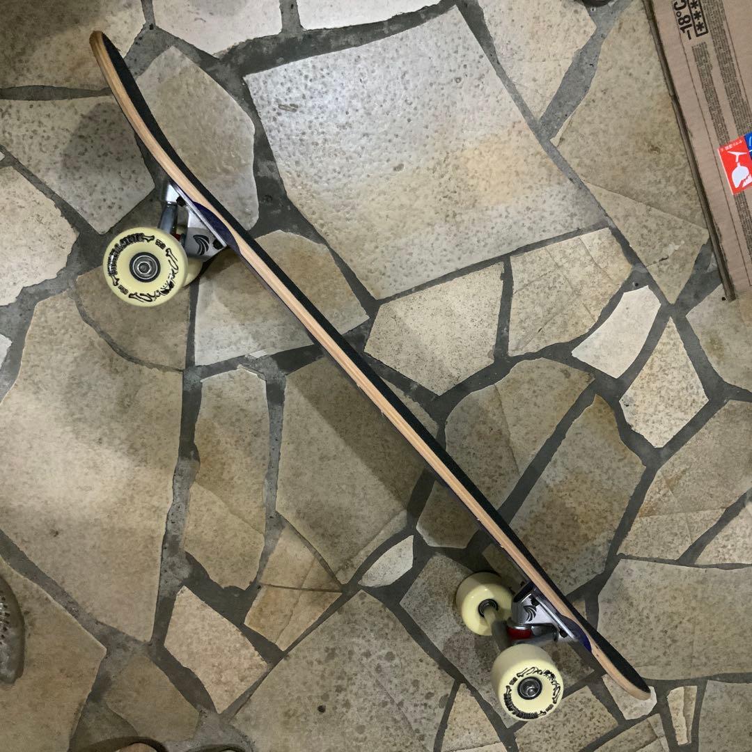 DOGTOWN ドックタウンスーサイダルスケート　DTS コンプリート90年代