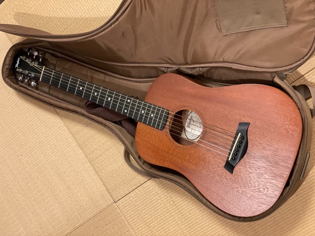 Taylor BT2 アコースティックギター