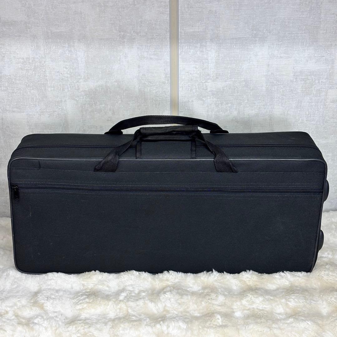 ✨美品✨Selva アルトサックス ハードケース付き 初心者〜練習用に◎