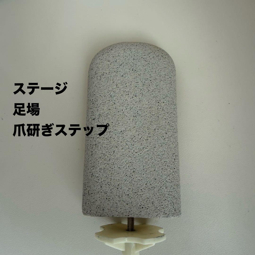 【直接引き取り限定】デグー小動物飼育セット（イージーホーム40ハイ・小物一式）