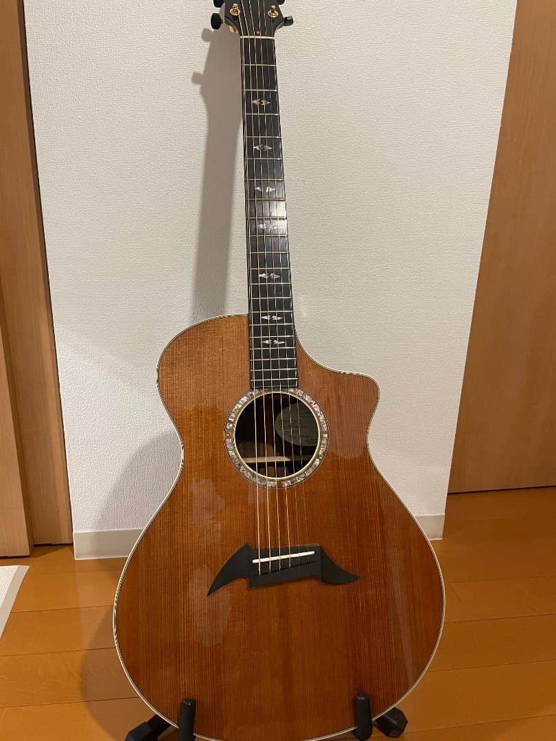 す*ん様 Breedlove Concert Focus SEブリードラブスペシ