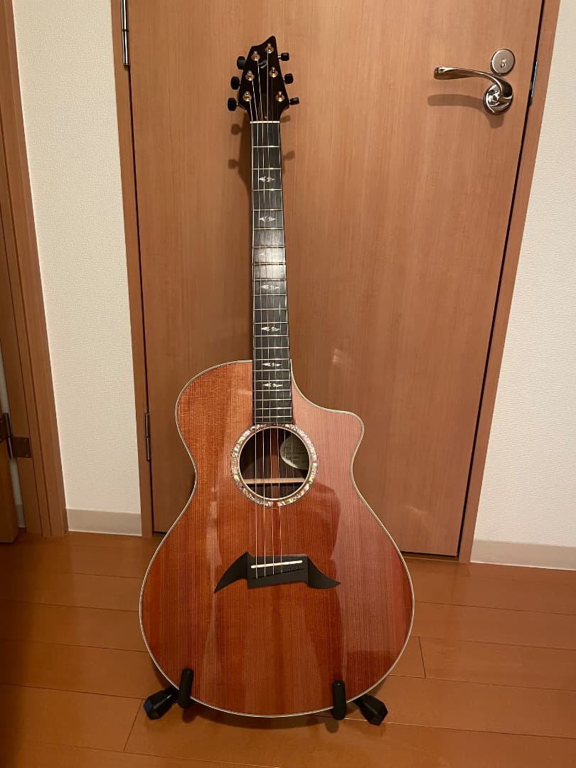 す*ん様 Breedlove Concert Focus SEブリードラブスペシ