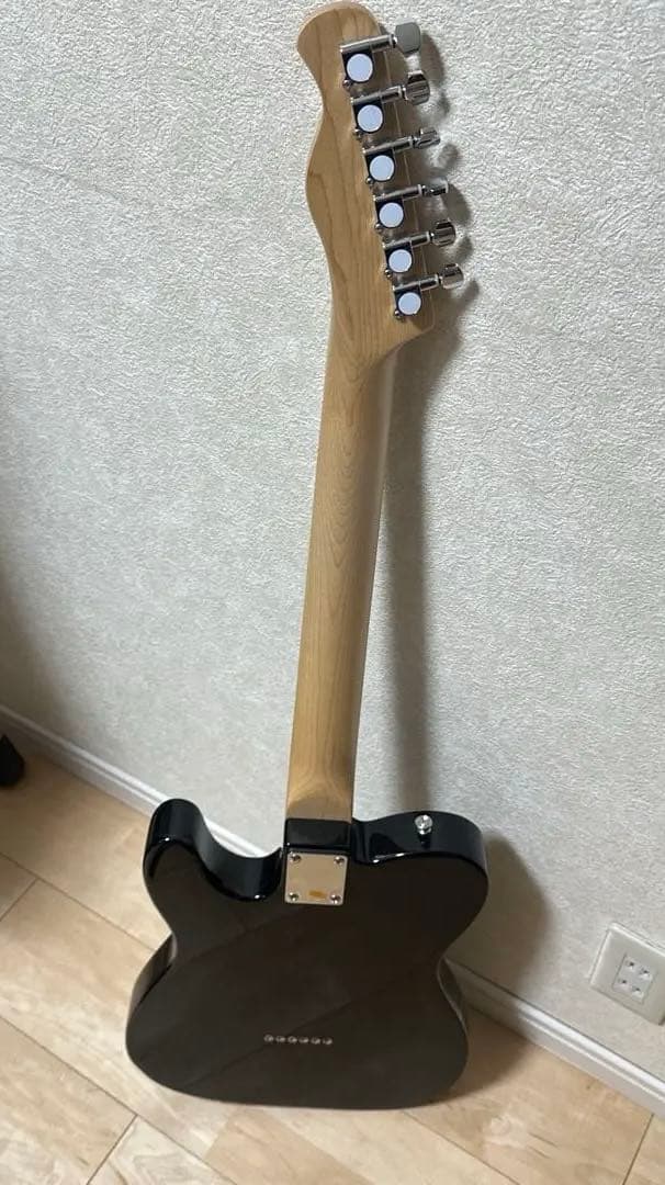 8/10まで Bacchus テレキャスタータイプ エレキギター ケース付き