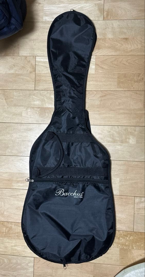 8/10まで Bacchus テレキャスタータイプ エレキギター ケース付き