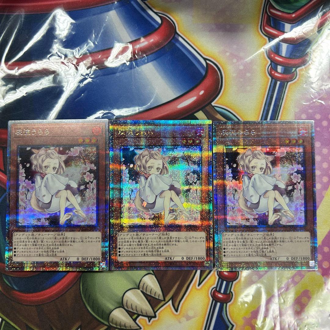 遊戯王　灰流うらら　絵違い　25thシク　3枚セット　極美品　良座標