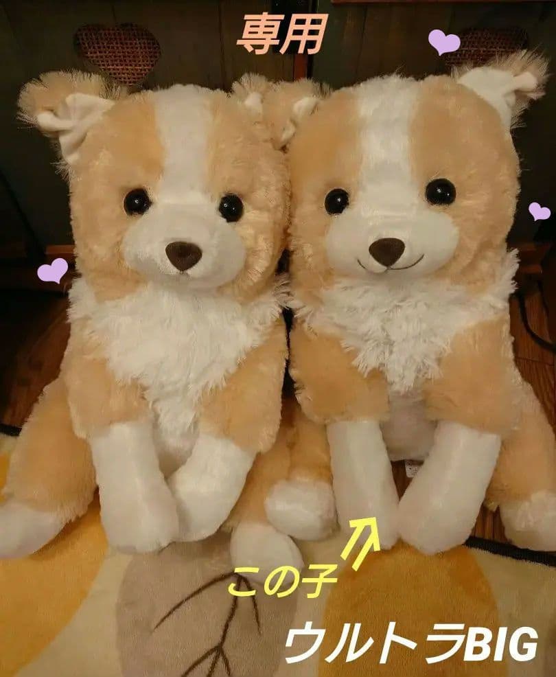 くったりボーダーコリー マロン ウルトラBIG