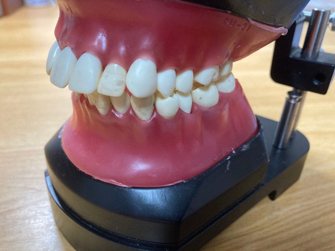 タイポドント咬合器&メタルティースセット　ロッキー（JMオーソ）型　中古