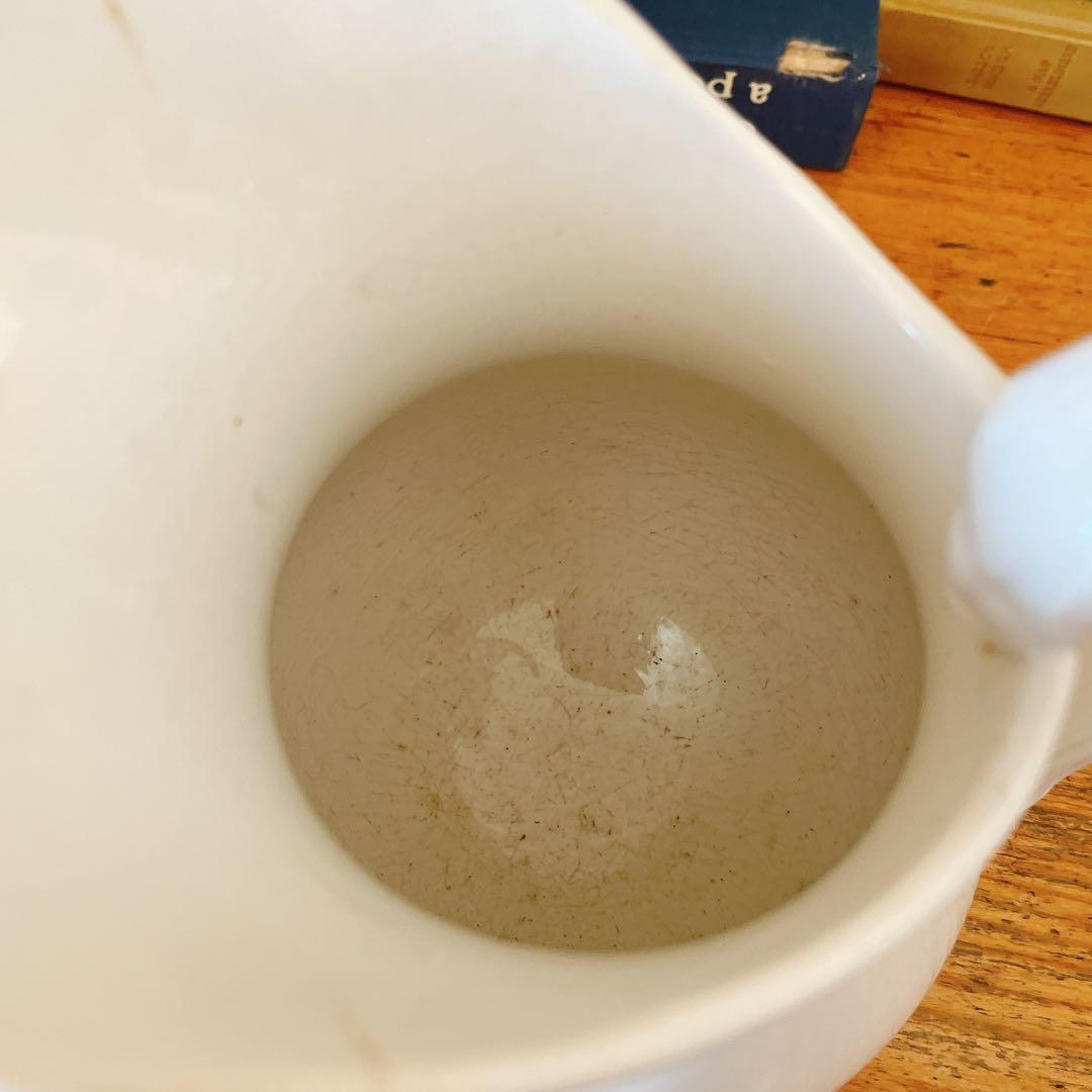 サルグミンヌsarreguemines 美しい白いピシェ