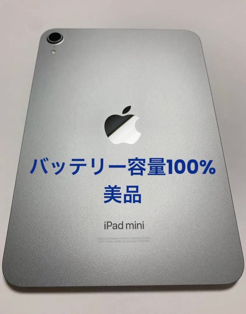 Apple iPad mini (A17 Pro) 128GB スペースグレー
