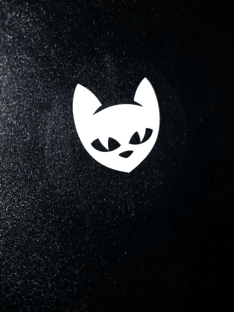 HIROGATO製■キャットスーツ　Ｌサイズ