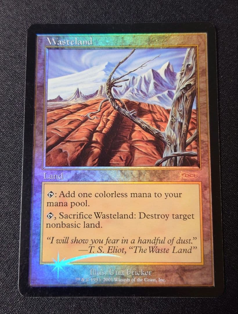 MTG 不毛の大地 プログラム褒賞 英語 foil 1枚