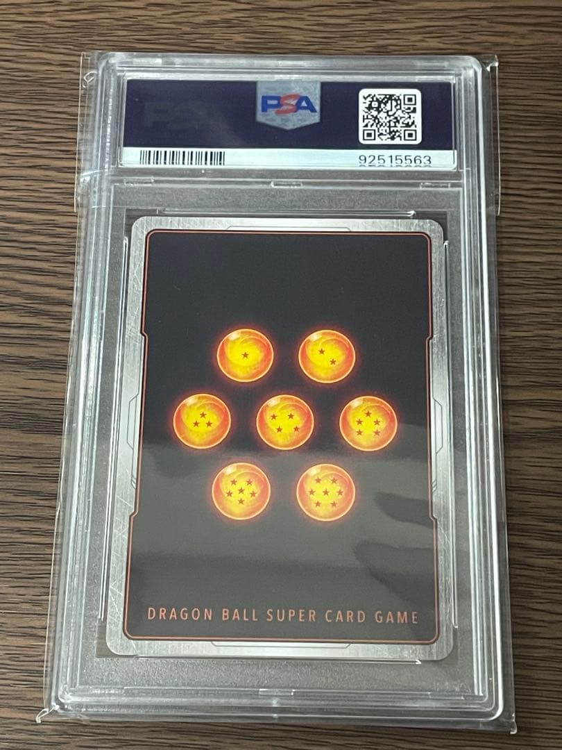 ギガンティックミーティア　墨絵　PSA10 ①