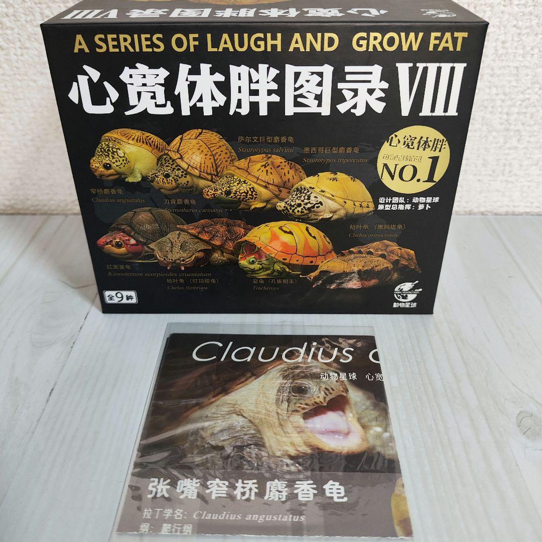 新年企画【動物の惑星】★ハラカケガメ開口（シークレット）★激レア! フィギュア