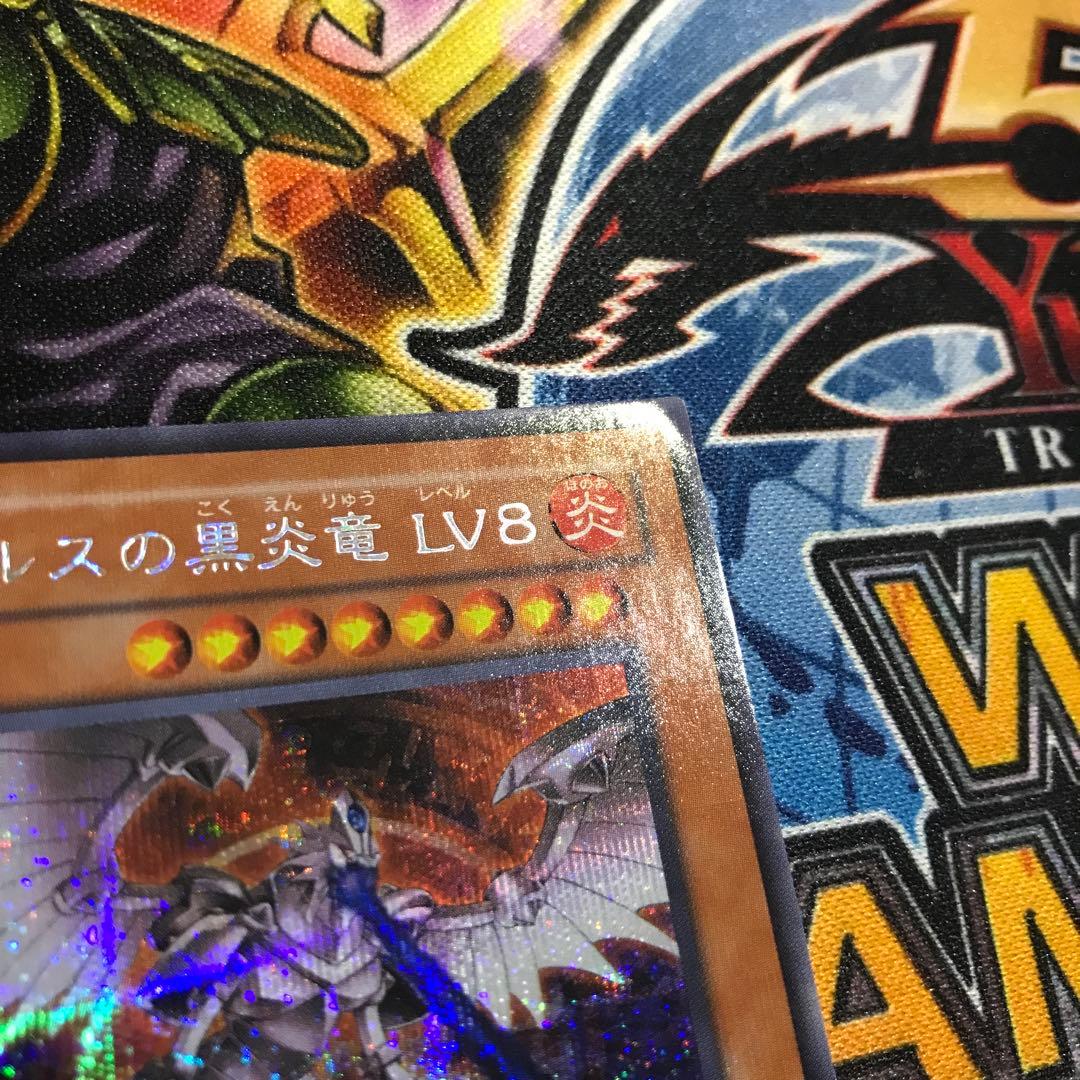 ホルスの黒炎竜LV8 シークレット　シク　エラーカード　プラチナレア