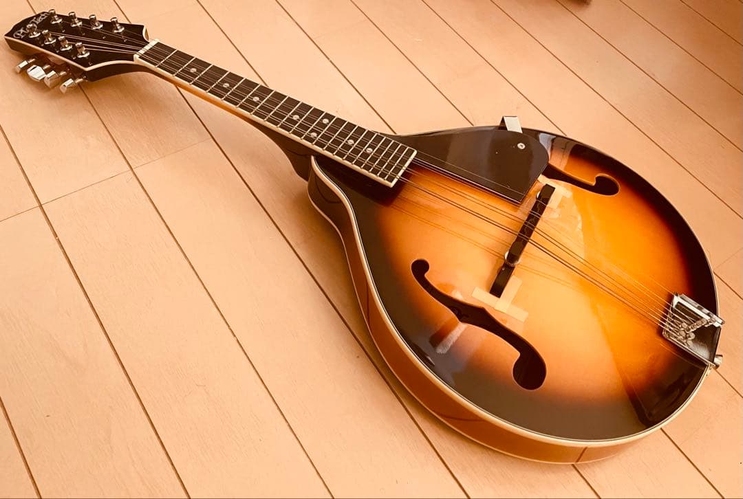 PLAYTECH フラットマンドリン 美品